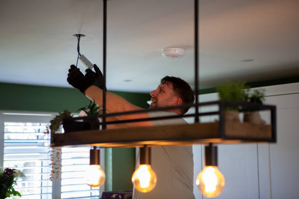 Best Home Electrical Repair  in Elmont, NY